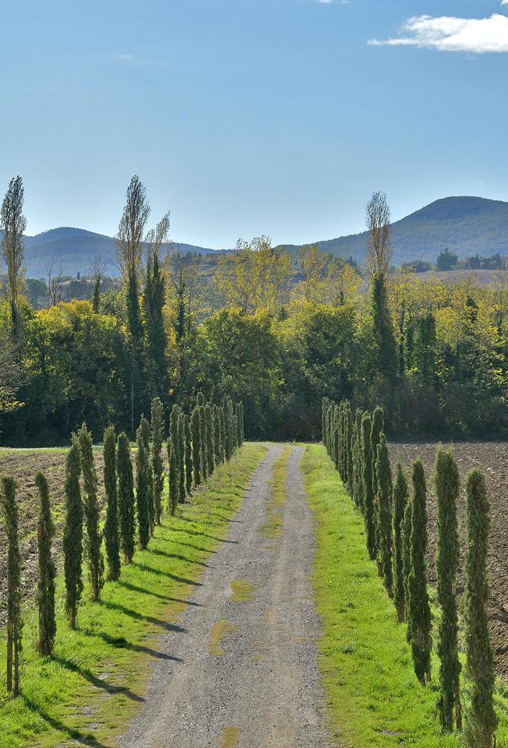 Podere La Querciola Guardistallo Eksteriør billede
